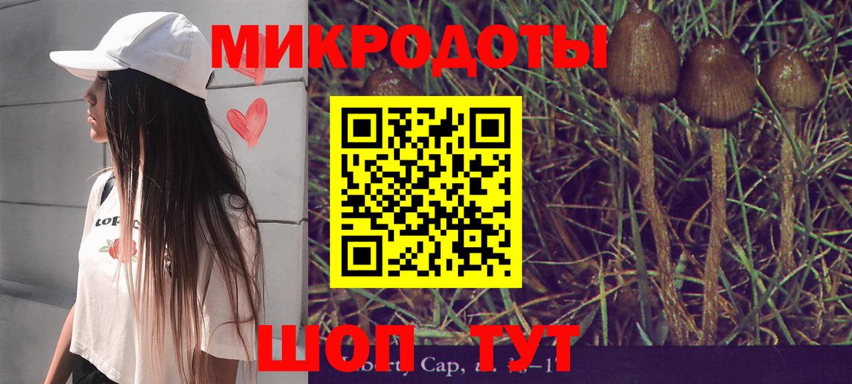 Псилоцибиновые грибы мицелий  Вход с VPN  Керчь  Псилоцибиновые грибы Magic Shrooms 